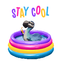 Summer Time Swimming Sticker by Dodo Australia