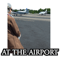 Flying Taking Off Sticker