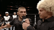 ufc 205 culture GIF