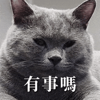 無言 傻眼 GIF