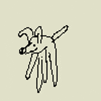 dog GIF by Dan Anthony Kelly