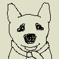 dog GIF by Dan Anthony Kelly