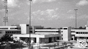 50Th Anniversary College GIF by UT Dallas