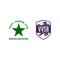 Sport Heerlen Sticker by Groene ster