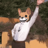 underdogscity underdogs nft GIF