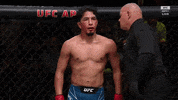 Fight Fighting GIF by ESPN