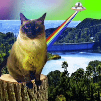 Los Angeles Lol GIF by MUTANT MAGIC