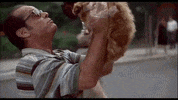 GIF by Filmin