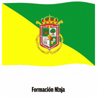 Las Palmas Bandera GIF by Formación Ninja