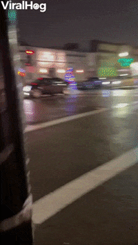 Lit Tree Spreads Cheer From Car Hitch GIF by ViralHog