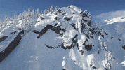 sick eric jackson GIF by X Games 
