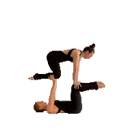 Duo Handstand Sticker by ShellyFLEX