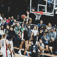 dunk jam GIF by NBL