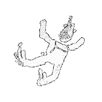 Skydiving Skydiver Sticker by SkyGoons