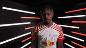 Germany Football GIF by Bundesliga