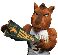 Broncos Csu Sticker by CPP Project CAMINOS