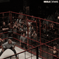 Episode 5 Wrestling GIF by Heels