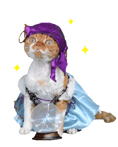 Crystal Ball Cat Sticker