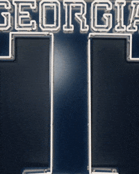 Georgia Tech Baseball GIF by Georgia Tech Yellow Jackets