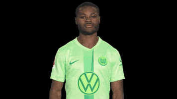 Germany Love GIF by VfL Wolfsburg
