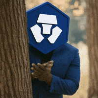 Looks Good What You Got GIF by Crypto.com