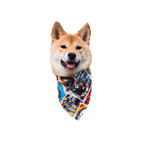 Star Wars Sticker by Geekster Pets