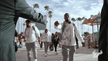 College Football GIF by USF Athletics