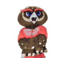 Fau Owls Sticker by Florida Atlantic University