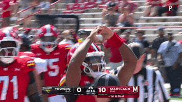Terps Football Celebration GIF by Maryland Terrapins