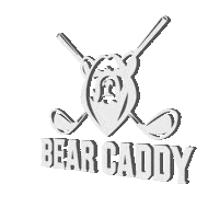 BearCaddy sports party photography phone Sticker