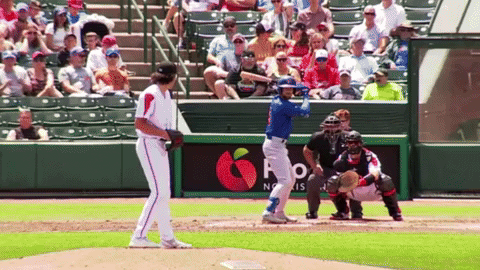 tesstass giphyupload GIF