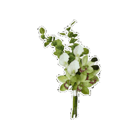 Wedding Flowers Sticker by Something Borrowed Blooms