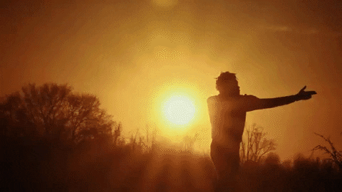 alexzidel giphygifmaker GIF