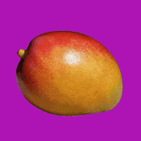 Summer Fruit GIF