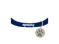 road dog Sticker by Nikki Carvey