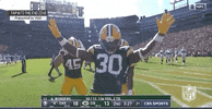 Regular Season Football GIF by NFL