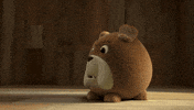 Angry Dog GIF by HangryPetz