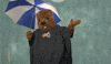 Rain Environment GIF by Weather Underground