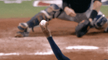 Ny Yankees GIF by Jomboy Media
