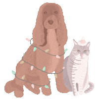 Merry Christmas Cat Sticker