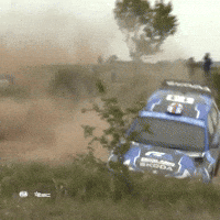 Erc Fail GIF by FIA European Rally Championship