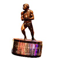 aflplayers football trophy afl mvp Sticker