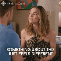 Feels Schitts Creek GIF by CBC
