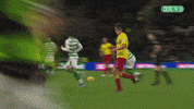 Celtic Fc Sport GIF by Celtic Football Club