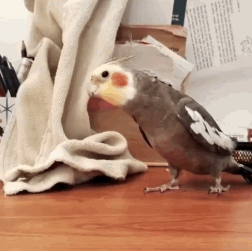 GIF by Mashable