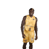 Liga Endesa Basketball Sticker by ACB