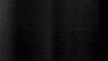 Football Sport GIF by SK Sturm Graz