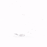 sephoraschaffner theascreation GIF