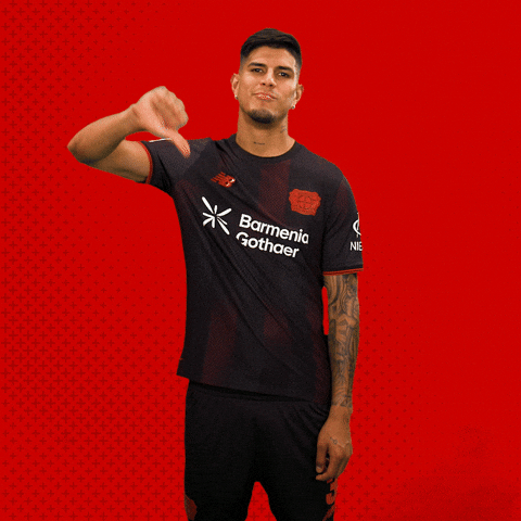 Bayer 04 Bundesliga GIF by Bayer 04 Leverkusen