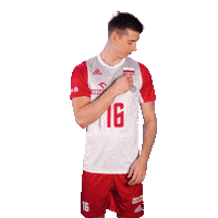 Pzps Sticker by Polska Siatkowka